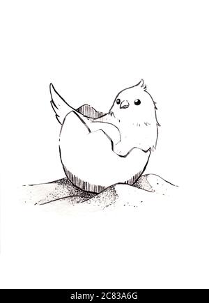 Die Vögel in der Eierschale lagen auf dem Sand. Linienzeichnung Cartoon-Stil Illustration auf weißem Hintergrund. Monochrome Skizze. Design für Tierkunstwerke. Stockfoto