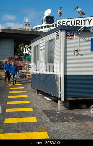 26.09.2019, Sydney, New South Wales, Australien - Außenansicht mit Laderampe des Sydney Fish Market in Blackwattle Bay in Pyrmont. Stockfoto