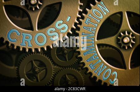 Textschild mit Kreuzkontamination. Business Foto Text unbeabsichtigte Übertragung von Bakterien von einer Substanz zu einem anderen Systemadministrator c Stockfoto