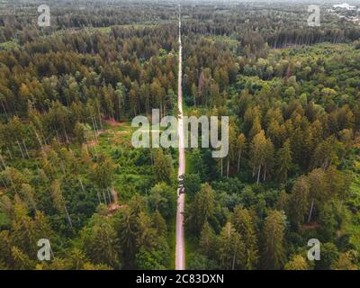 Ein gerader Wanderweg durch den Wald. Grünes Erholungsgebiet 'Perlacher Forst' bei München Stockfoto