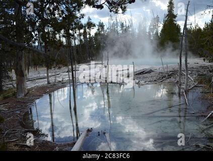 Spätfrühling im Yellowstone National Park: Zisterne Frühling von einem Seitenpool im Back Basin Bereich des Norris Geyser Basin aus gesehen Stockfoto