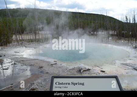 NORRIS JUNCTION, WYOMING - 7. JUNI 2017: Zisterne Spring in the Back Basin Area of Norris Geyser Basin in Yellowstone National Park Stockfoto