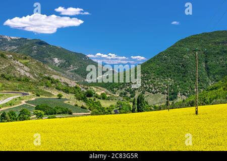 Weitwinkelansicht eines gelb blühenden Rapsfeldes in der französischen Landschaft, mit fernen Hügeln unter einem sommerblauen Himmel mit geschwollenen Wolken Stockfoto