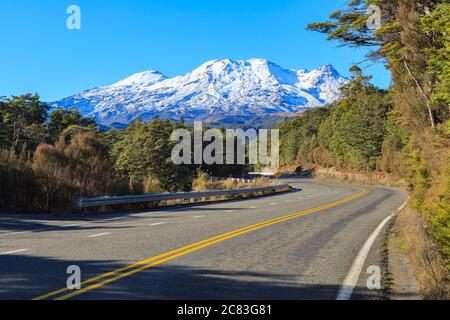 Straße zum Mount Ruapehu, Neuseeland, gewunden durch einheimischen Wald Stockfoto