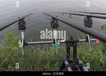 Blick entlang drei Karpfenstangen in Richtung eines Teiches. Karpfen Stockfoto