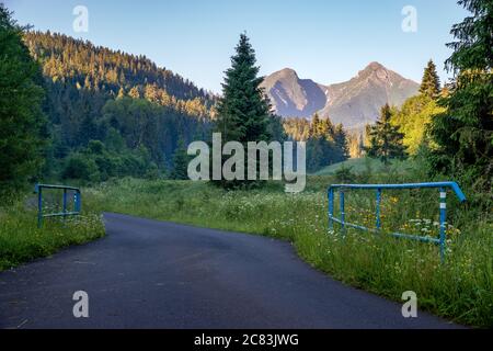 Asphaltstraße, die durch eine Bergwiese führt - Tatra, Slowakei Stockfoto