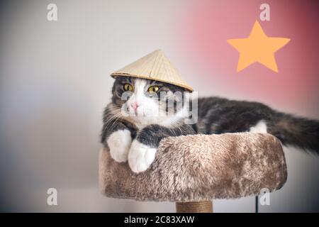 Lustige gestreifte Kätzchen in kleinen vietnamesischen Hut auf dem Katzenhaus liegen Stockfoto