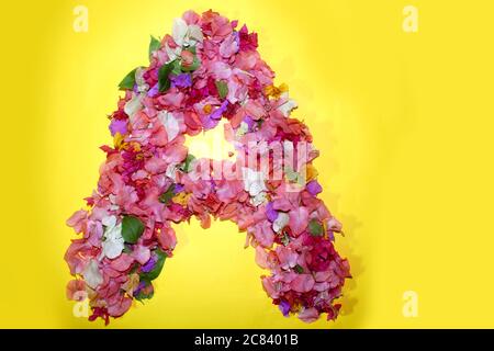 Buchstabe EIN Blumenalphabet, aus bunten Bougainvillea Blumen, wunderbare Flora Buchstaben für einzigartige Frühlingsdekorationen und verschiedene Kreation Ideen, Stockfoto