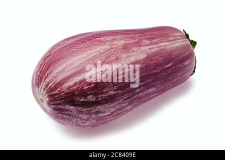 Flieder gestreifte Aubergine isoliert auf weißem Hintergrund Stockfoto