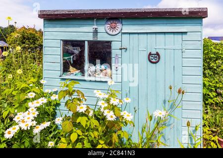 Alte Gartenhütte mit der Nummer 58 in einem Hufeisen und überwuchert mit wilden Blumen und Teelöffel, Schrebergärten, Kilwinninig, Ayrshire, Schottland Stockfoto