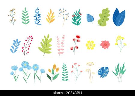 Vektor Design Elemente Blumen und Blätter, Design Einladungskarten, Grußkarte, Poster, Hochzeitskarte. Stock Vektor