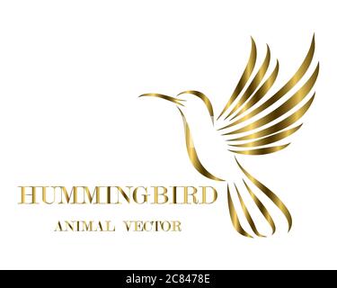 Goldene Linie Kunst Vektor-Illustration auf einem weißen Hintergrund von fliegenden Kolibris. Geeignet für die Herstellung von Logos Stock Vektor