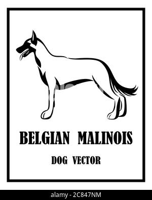 Schwarz-Weiß-Vektor des belgischen Schäferhundes Malinois. Es steht. Stock Vektor