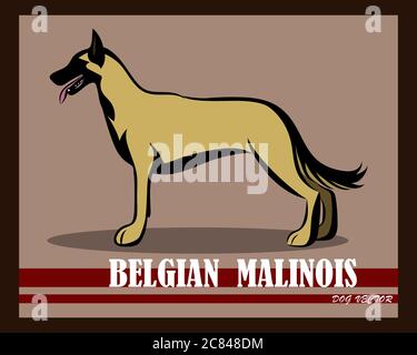 Vektor-Illustration von belgischen Schäferhund Malinois Hund. Es steht. Stock Vektor