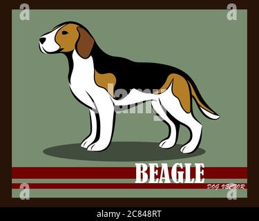 Vektor-Illustration von Beagle Hund. Es steht. Stock Vektor