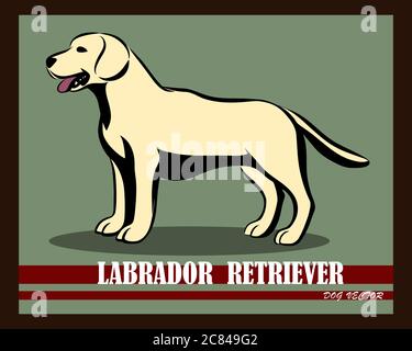 Vektor-Illustration von Labrador Retriever Hund. Es steht. Stock Vektor