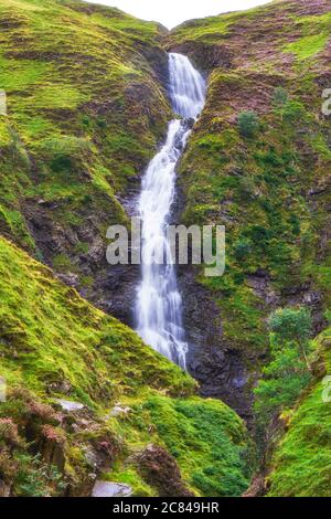 Gray Mare's Tail Wasserfall und Naturschutzgebiet in der Nähe von Moffat in Die schottische Grenzregion von Schottland Stockfoto