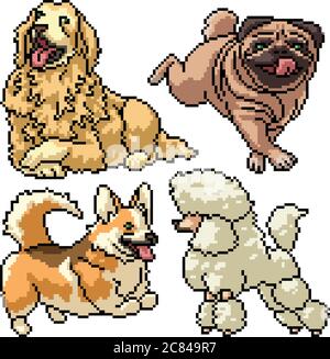 Pixel Art Set isoliert Hunde Haustier Stock Vektor