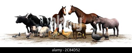 Eine Gruppe von verschiedenen Nutztieren - isoliert auf weißem Hintergrund Stockfoto