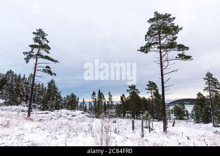 Winterwunderland Landschaft im Norden von Schweden Stockfoto