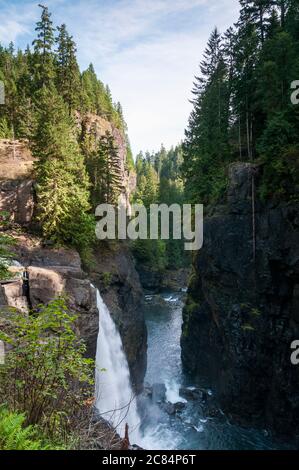 Elk Falls, Campbell River, Vancouver Island, British Columbia, Kanada. Stockfoto