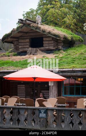 Ziegen auf einem Dach auf dem Coombs Old Country Market, Vancouver Island, British Columbia, Kanada. Stockfoto