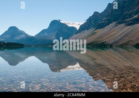 Crowfoot Mountain spiegelt sich in Bow Lake, Alberta, Kanada. Stockfoto
