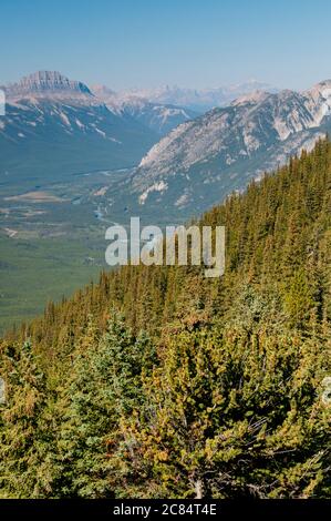 Bow Valley und Pilot Mountain vom Sulphur Mountain aus gesehen, Banff, Alberta, Kanada. Stockfoto