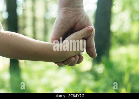 Nahaufnahme Hände ein Erwachsener hält die Hand eines Kindes. Stockfoto