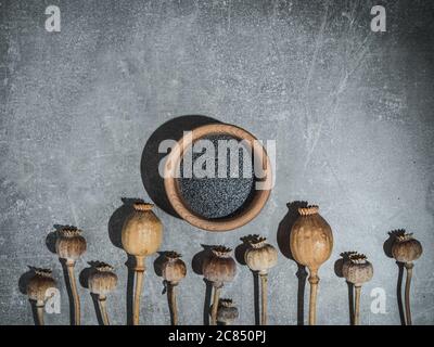 Trockene Mohnköpfe und Mohn in Holzschüsseln auf Marmorboden. Aufnahmen über Kopf mit hartem Licht. Stockfoto