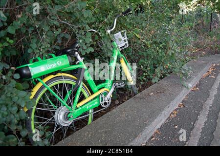 Ein elektrisches, dockloses Limettenrad links in Büschen neben der Straße in twickenham, middlesex, englnd Stockfoto