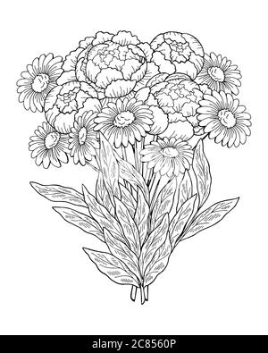 Pfingstrose Kamille Blume Grafik schwarz weiß isoliert Bouquet Skizze Illustration Vektor Stock Vektor