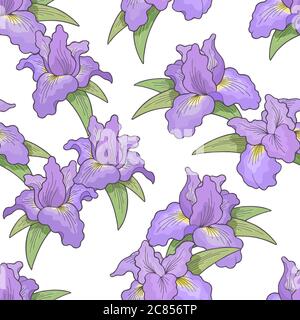 Iris Blume Grafik Farbe nahtlose Muster Hintergrund Skizze Illustration Vektor Stock Vektor