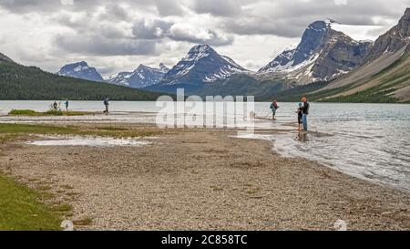 Banff National Park, Alberta, Kanada – 19. Juli 2020: Sechs Menschen und ihre beiden Hunde fischen an einem bewölkten Tag im Bow Lake Stockfoto