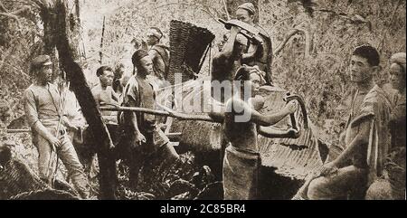 Ein altes gedrucktes Foto zeigt die Eingeborenen, die in den Kamphorwäldern von Formosa Kampfer ernten eine kurzlebige republik, die zwischen Mai und Oktober 1895 auf der Insel Taiwan existierte, als die Hauptstadt Taipei / Tainan von den Japanern gefangen genommen wurde.Kampfer ist ein wachsartiges, entflammbares, Transparente Substanz mit starkem Geruch, der aus dem Holz des Kampfer-Lorbeer (Cinnamomum camphora) und anderen Mitgliedern des Pflanzenreiches gewonnen wird. Es wird bei der Herstellung von Mottenkugeln verwendet. Stockfoto