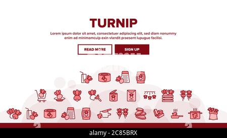 Rübe Landwirtschaftliche Gemüse Landing Header-Vektor Stock Vektor