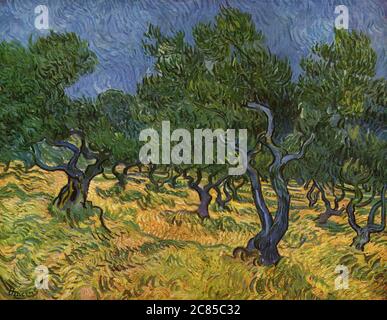 Die Olivenbäume (Serie) von Vincent Van Gogh 1889. Das Kroller-Muller Museum in Otterlo, Niederlande Stockfoto