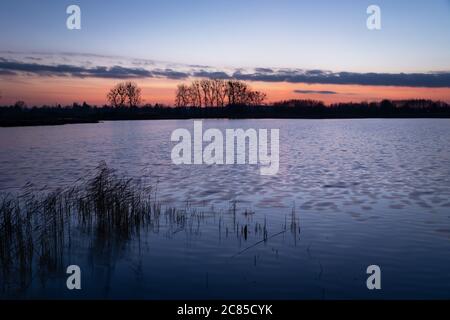 Pinkblauer Himmel nach Sonnenuntergang auf einem See mit Schilf, kalter Abendblick Stockfoto