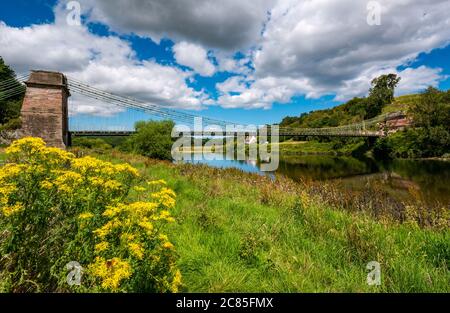 River Tweed, Englisch/Schottische Grenze, Großbritannien, 21. Juli 2020. 200 Jahre Union Bridge: Die Brücke feiert am 26. Juli ihr 200-jähriges Bestehen. Es war die erste Fahrzeugaufhängung Brücke in Großbritannien. Zur Zeit ihrer Errichtung war sie mit 137 m die längste schmiedeeiserne Hängebrücke der Welt. Es wird immer noch regelmäßig von Fußgängern, Radfahrern und Autos verwendet, aber Autos müssen es zu einer Zeit überqueren. Diese Ansicht ist vom Flussufer an der schottischen Grenze Stockfoto