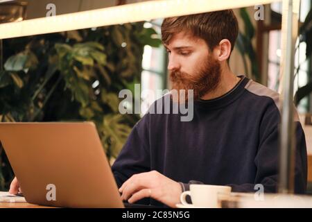 Junge attraktive Mann selbstbewusst auf Laptop während Kaffeepause im Café arbeiten Stockfoto