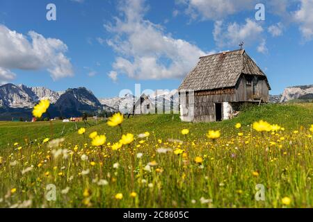 Die traditionellen hölzernen Sommerhäuser der Hirten im Durmitor Nationalpark, Montenegro Stockfoto