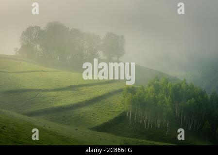 Schöne Aussicht auf einen Hügel mit einem Birkenwald und einem kleinen Scheunenhaus auf einem weichen Morgenlicht mit Nebel rund um die Szene in Dumesti, Salciua de Sus, Stockfoto