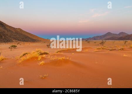 Blaues und pinkes Licht über dem Horizont nach Sonnenuntergang Stockfoto