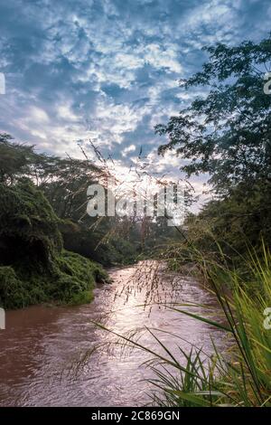 Sonnenaufgang Blick auf Ishasha Fluss, mit Bäumen wachsen und die Reflexionen auf dem Wasser, Queen Elizabeth Nationalpark, Ishasha, Uganda, Afrika Stockfoto