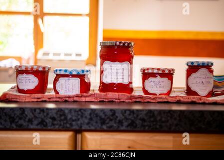 Frisch gefüllte Gläser mit Johannisbeergelee kühlen auf dem Küchentischchen ab Stockfoto