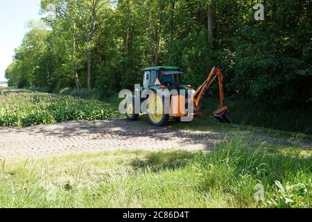 Mit dem Traktor wird das Gras auf dem Hang eines Grabens mit einer Reihe von Bäumen geschnitten. Am Rande eines Feldes mit Zierzwiebeln. Egmond, Niederlande, Mai Stockfoto