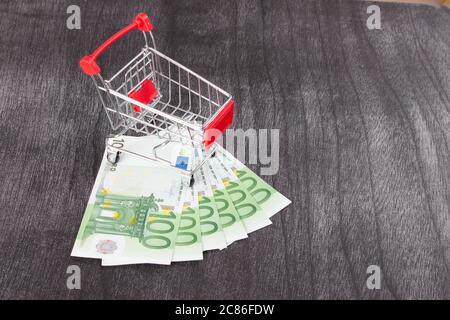 Warenkorb voller Geld. Shopping consept, euro Geld im Warenkorb. Shopping Cart mit Euro-banknoten auf Grau. Kopieren Sie Platz für Text. Stockfoto