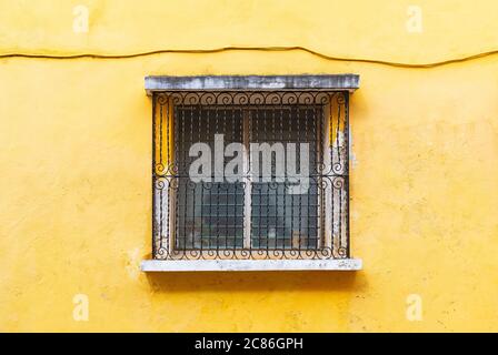 Fenster mit gelber Fassade in der gelben Stadt Izamal, Yucatan Halbinsel, Mexiko. Stockfoto