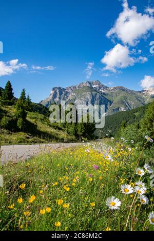 Panorama - Valle Spluga Stockfoto