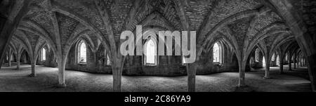 Cellarium in Fountains Abbey. Eines der größten und am besten erhaltenen zerstörten Zisterzienserklöster in England. Gegründet 1132. Stockfoto